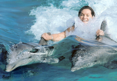 Oahu Dolphin Royal Dolphin Swim