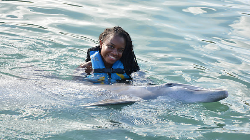 St Kitts Dolphin Swim Location