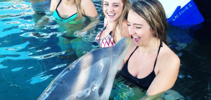 Bahamas Dolphin Encounter non swim