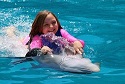 dolphin swim adventure