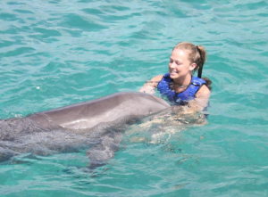 Dolphin Splash and Swim St Thomas