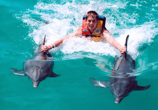 Dolphin Swimming and Ride in Cancun Mexico