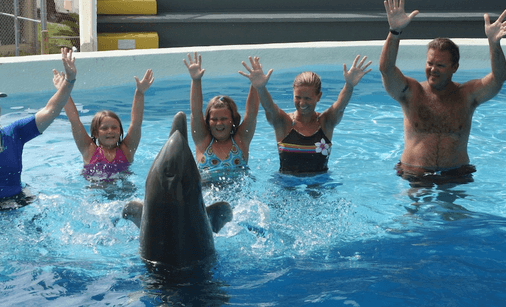 Family fun with dolphins in Panama City Beach