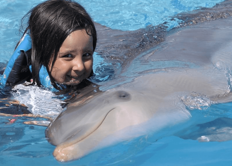 Dolphin Encounter Punta Cana Dominican Republic