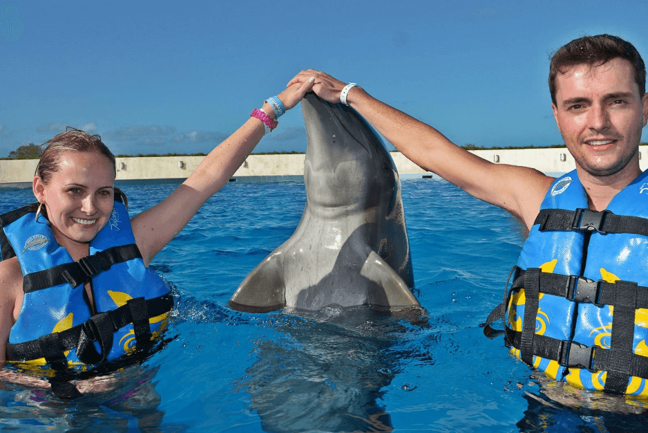 Swim with Dolphins Near Punta Cana