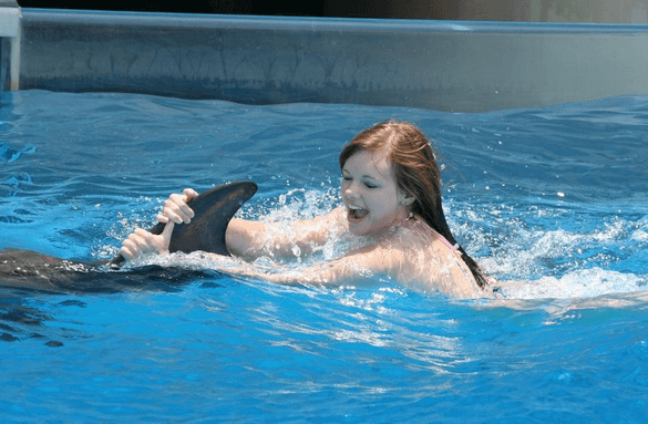 Dorsal Fin ride with dolphin swim panama city beach