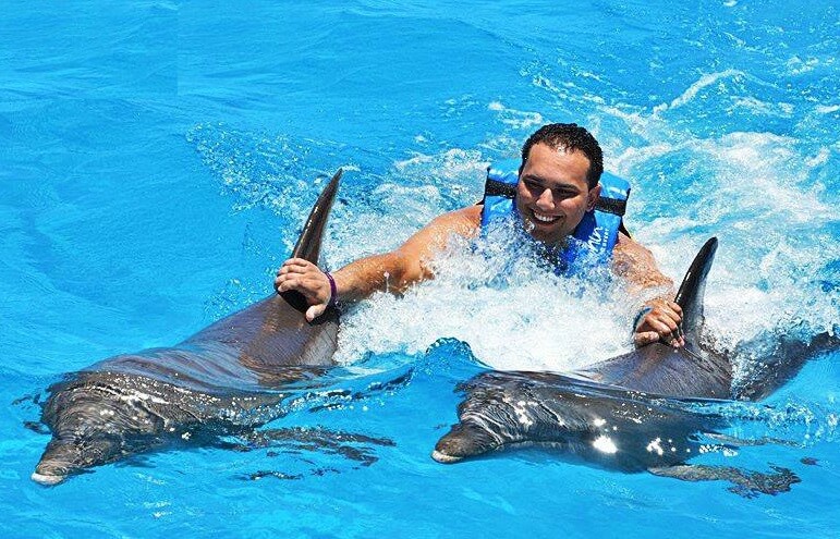 Swim with Dolphins Punta Cana