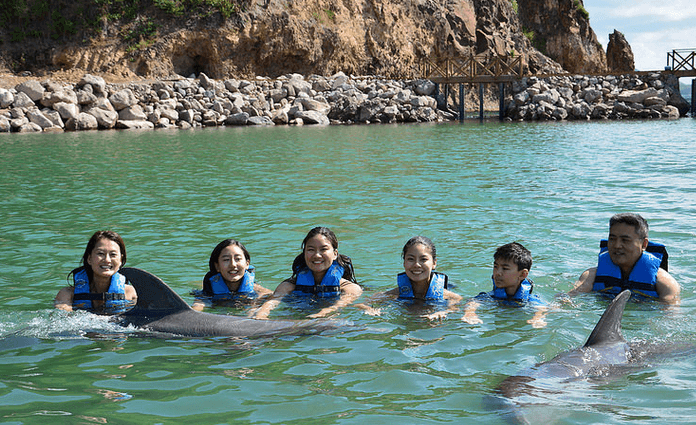 Family Time with dolphins in St Kitts Nevis