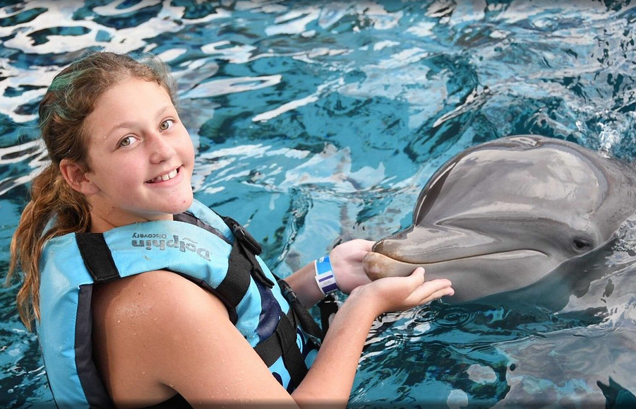 Swim with Dolphins Near Destin Beach FL