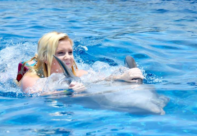 Swim with Dolphins near Jacksonville