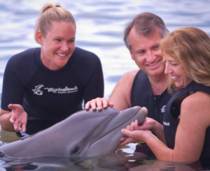 Dolphin Encounter St Augustine