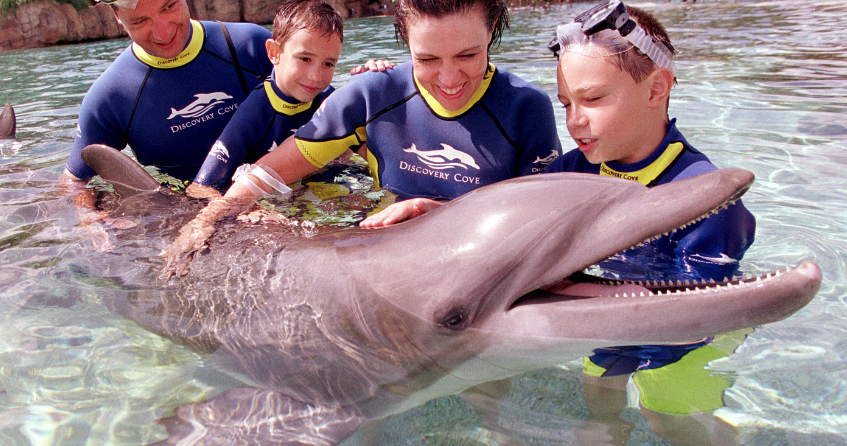 Orlando Archives Swimming With Dolphins 800 667 5524