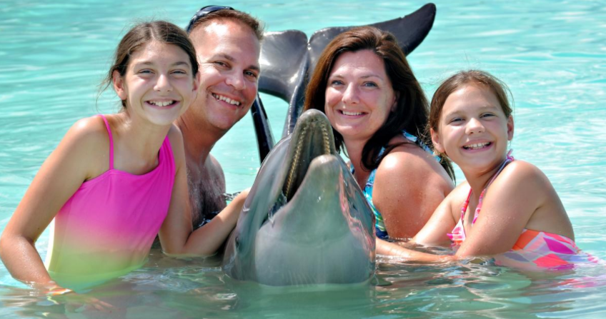 Dolphin Encounter Nassau Bahama