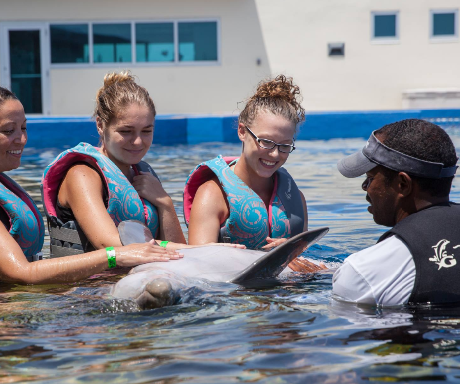 Swim with Dolphins Near Daytona Beach Florida (800) 667-5524