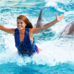 Oahu Hawaii Dolphin Royal Swim