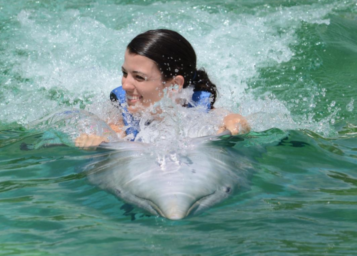 Swim with Dolphins Near Fort Walton Beach-(800) 667-5524