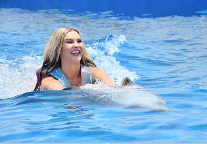 Dolphin Swim St Augustine