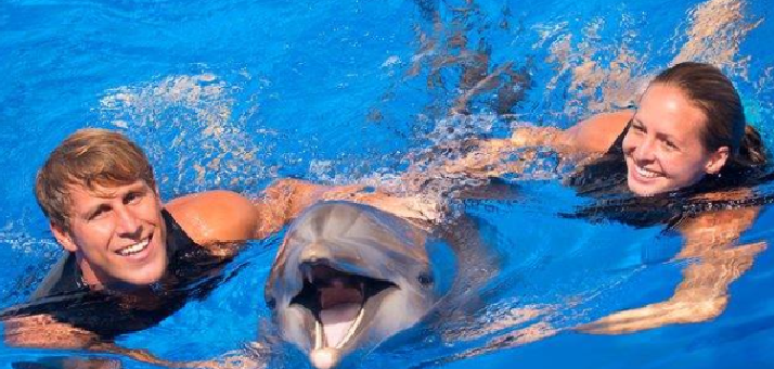 Dolphin Swim immersion st augustine beach