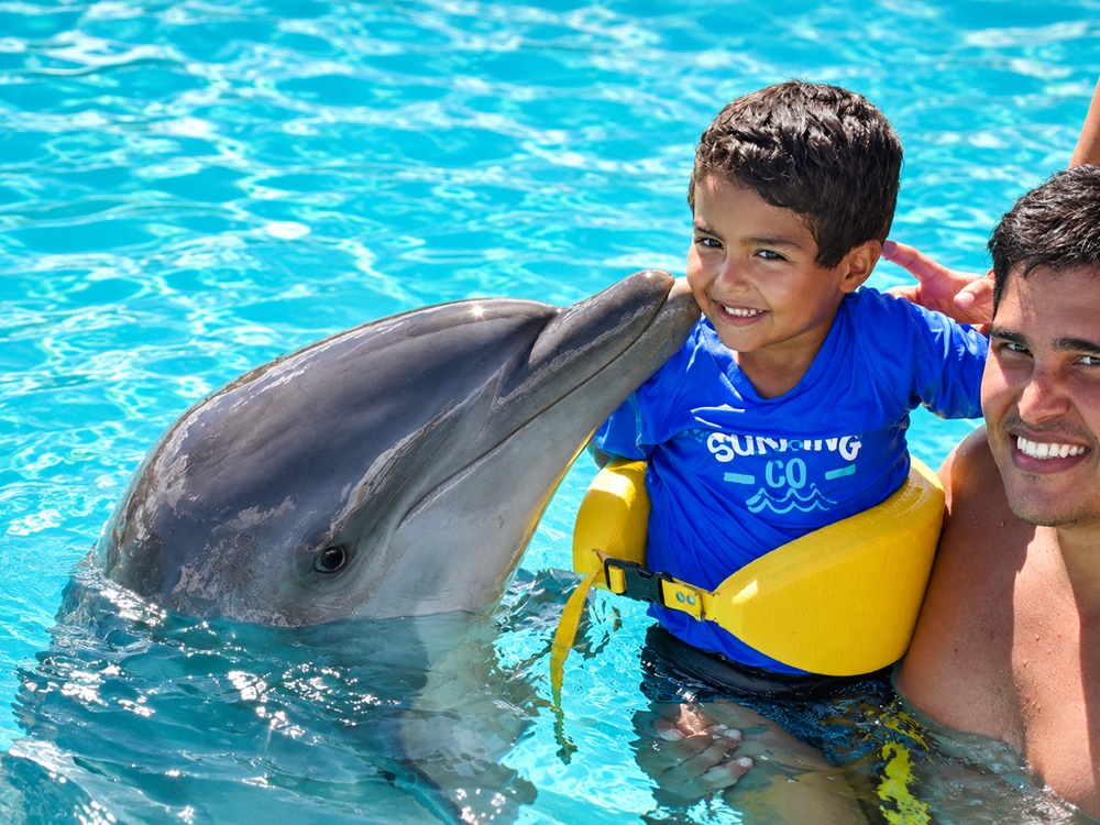 Punta Cana Dolphin Experience non-swim