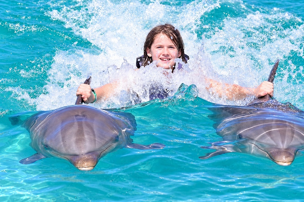 Royal Swim with Dolphins Punta Cana