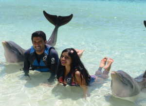 beach_time_dolphin_royal_swim_nassau_bahamas