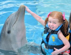 dolphin_pet_punta_cana_little_girl