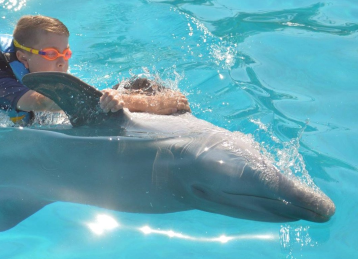 Mexico Puerto Vallarta Dolphin Swim Adventure