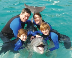 Dolphins play in water off Juno Beach