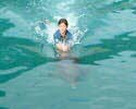 nadar con delfines miami 