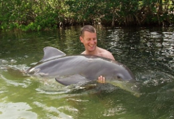 swimming with dolphins Key Largo area