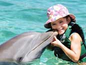 img_dolphin-encounters