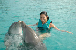 Swim with Dolphins Dominican Republic