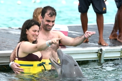 Punta Cana Dolphin Swim