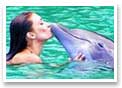 Dolphin Swim Jamaica