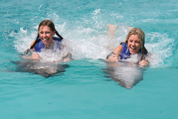 swim with dolphins St Martin / Maarten 