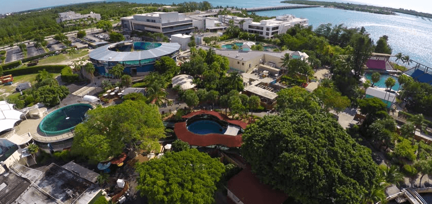Miami_Dolphin_Swim_Park_Aerial_view