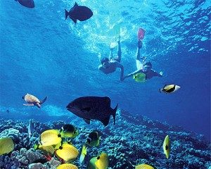couple-under-the-water-snorkeling-300x240