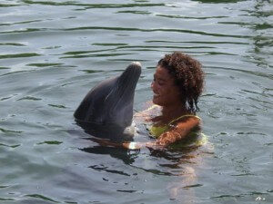 Florida Keys Dolphin Swim Near Ft Lauderdale