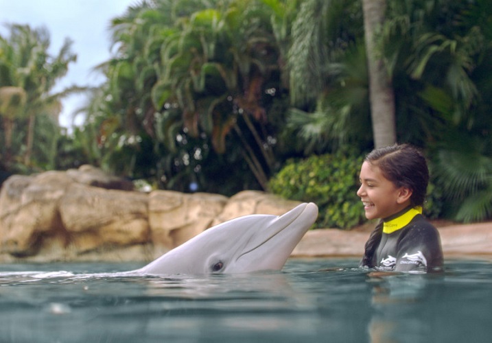 Premiere Dolphin Swim