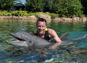Orlando Dolphin Swimming