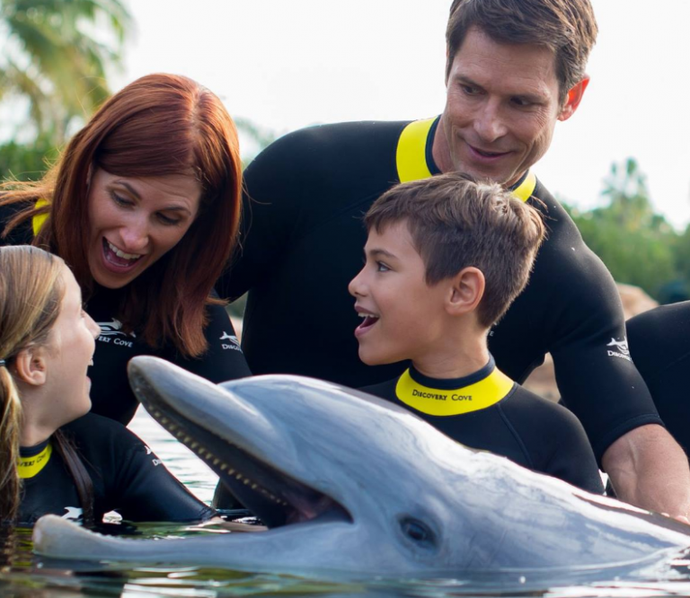 Dolphin Swim Orlando Full Day of Activities (800) 6675524