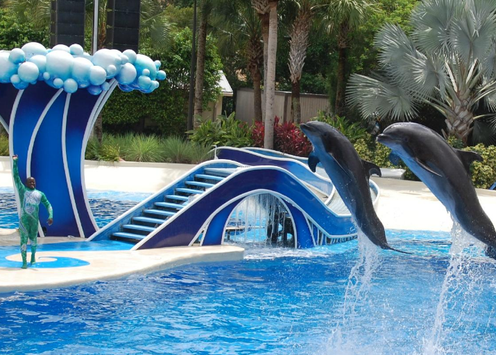 Orlando Swim with Dolphin + SeaWorld + Aquatica (800) 6675524