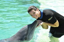 dolphin encounter Miami review