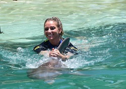 Swim with dolphins Miami review