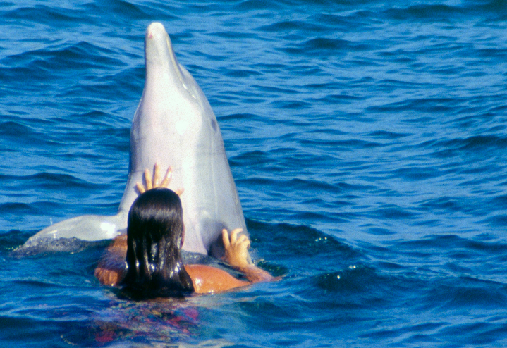 Therapy with dolphins