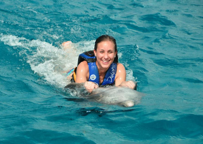 dolphin swim adventure grand cayman