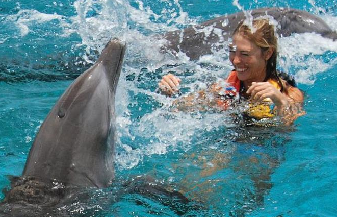 Swimming with Dolphins Grand Cayman