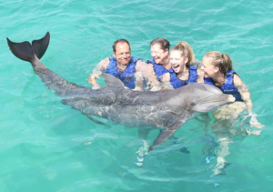 Dolphin Swim with Family St Thomas