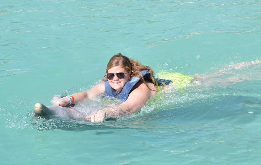 Dolphin Swimming in Nassau Bahamas