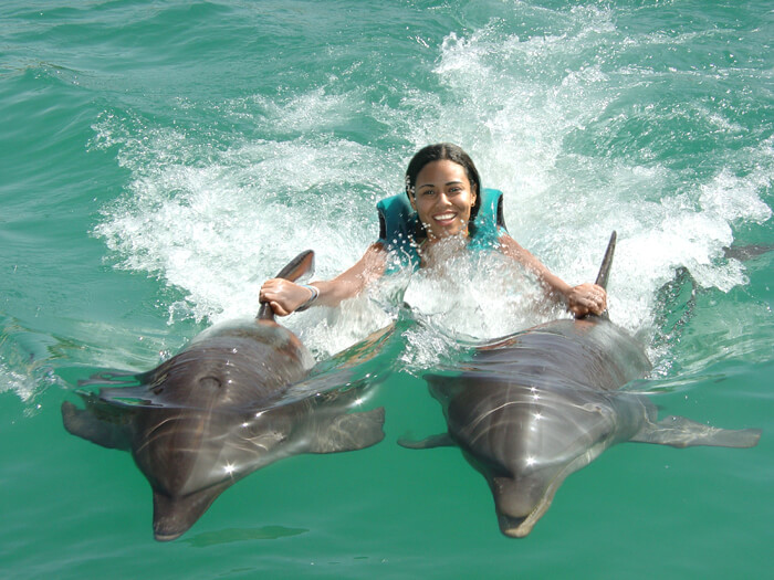 Double Dorsal Fin Ride 1 Hour Dolphin Program